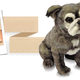 Illustration for article titled This Site Will Make a Stuffed Animal Clone of Your Pet